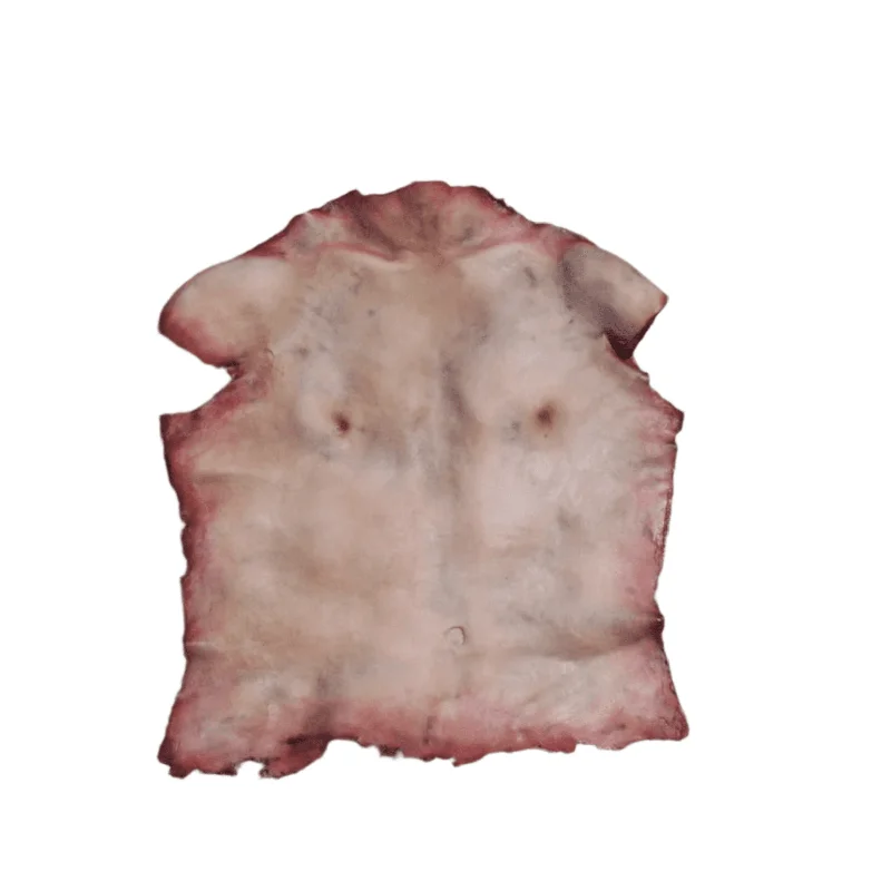 abracadabranyc10741