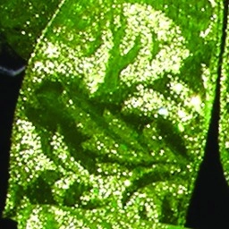 christmascentral3159659