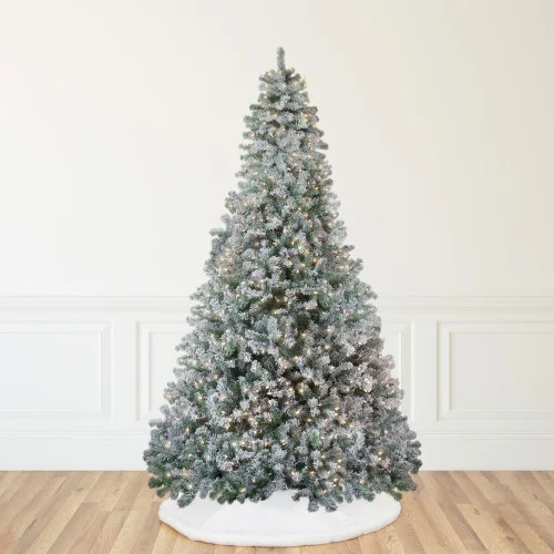 christmascentral3772849