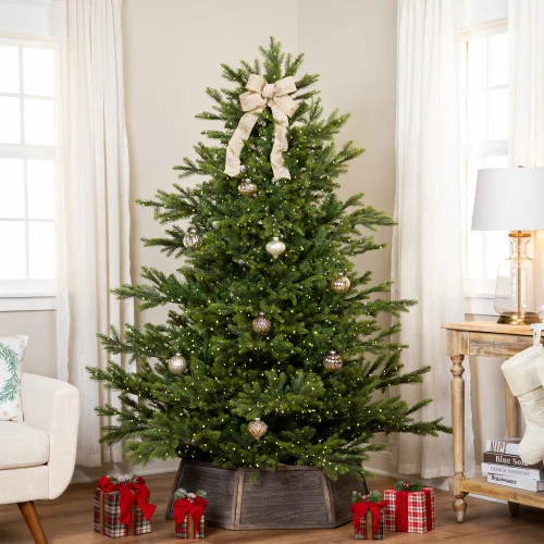 christmascentral3814892