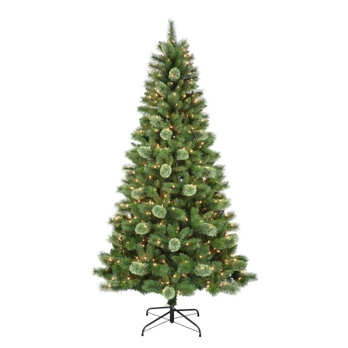 christmascentral82854