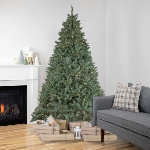 christmascentral90562
