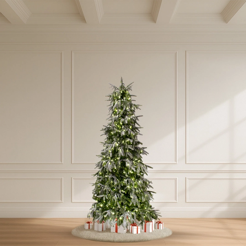 christmasinamerica166393