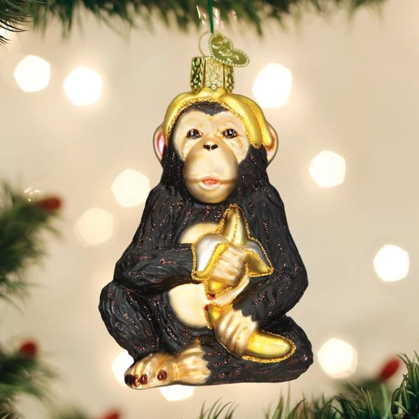 christmasinamerica49018