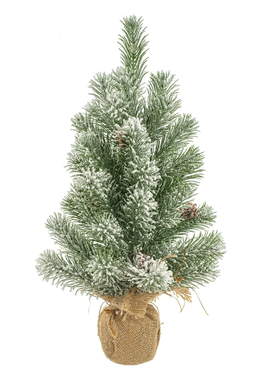 glendaschristmas154290