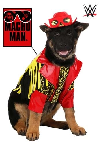 halloweencostumes136071