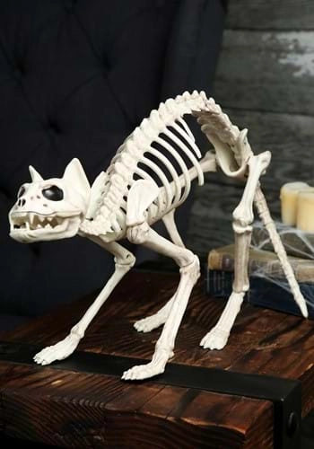halloweencostumes140790