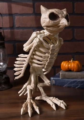 halloweencostumes149733