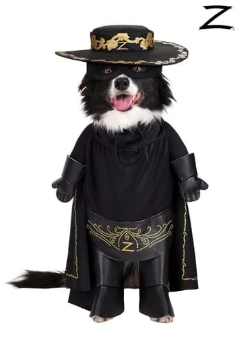 halloweencostumes248254