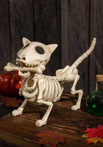halloweencostumes3015780