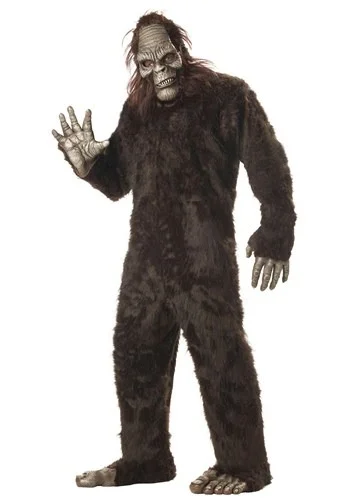 halloweencostumes3066740