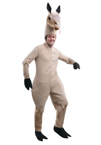 halloweencostumes3144875
