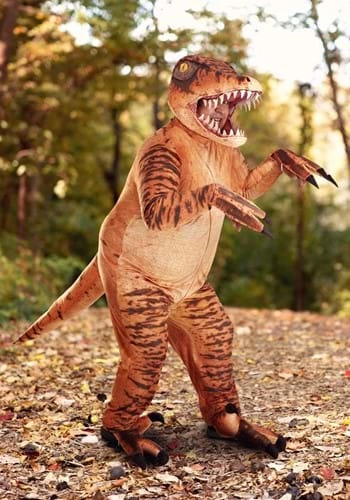 halloweencostumes3217823