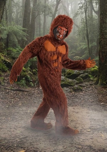 halloweencostumes3251105