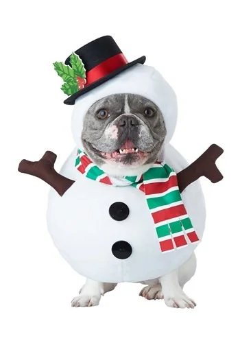 halloweencostumes3397361