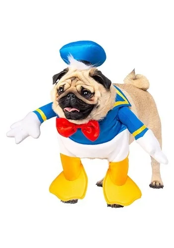 halloweencostumes3398204