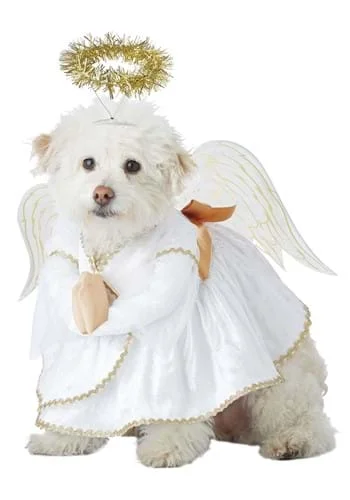 halloweencostumes3561998