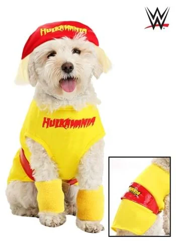 halloweencostumes3574987