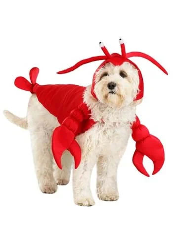 halloweencostumes3743680