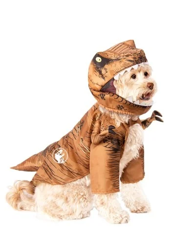 halloweencostumes3873956