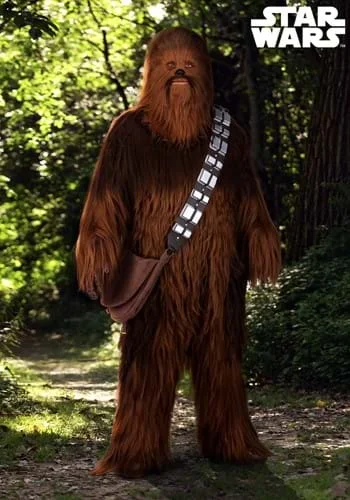 halloweencostumes3892076