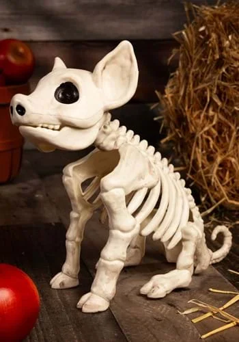 halloweencostumes3972375
