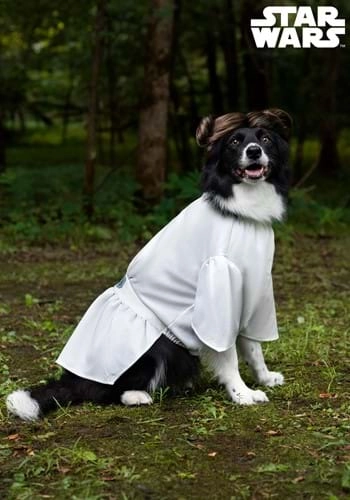 halloweencostumes3994570