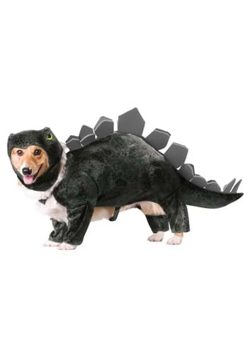 halloweencostumes3995903