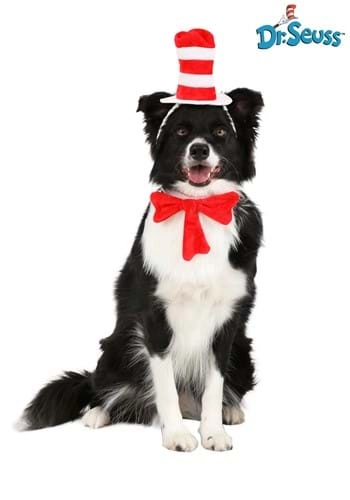 halloweencostumes4007359