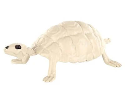 spirithalloween3020118