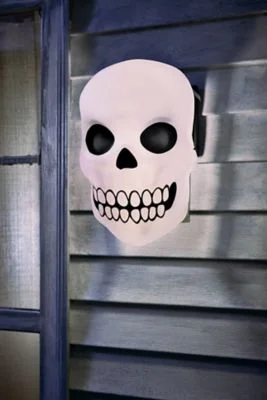 spirithalloween3020778